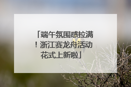 端午氛围感拉满！浙江赛龙舟活动花式上新啦