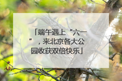 端午遇上“六一”，来北京各大公园收获双倍快乐