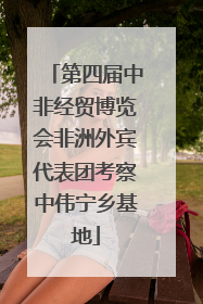 第四届中非经贸博览会非洲外宾代表团考察中伟宁乡基地
