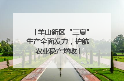 羊山新区“三夏”生产全面发力，护航农业稳产增收