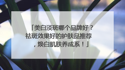 美白淡斑哪个品牌好？祛斑效果好的护肤品推荐，焕白肌肤养成系！