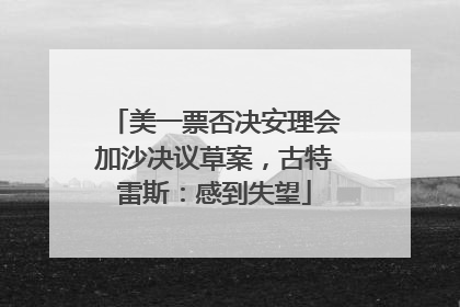 美一票否决安理会加沙决议草案，古特雷斯：感到失望
