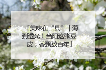 美味在“县”｜薄到透光！当阳这张豆皮，香飘数百年