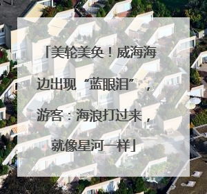 美轮美奂！威海海边出现“蓝眼泪”，游客：海浪打过来，就像星河一样