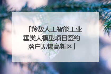 羚数人工智能工业垂类大模型项目签约落户无锡高新区