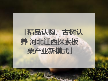 精品认购、古树认养 河北迁西探索板栗产业新模式