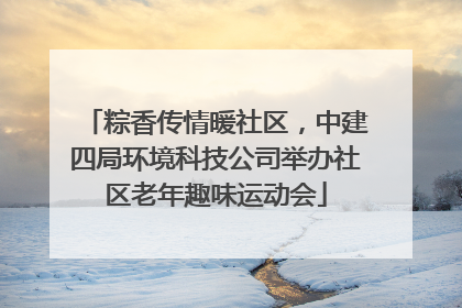 粽香传情暖社区，中建四局环境科技公司举办社区老年趣味运动会