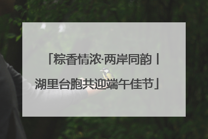粽香情浓·两岸同韵丨湖里台胞共迎端午佳节