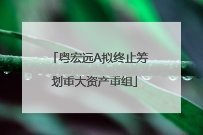 粤宏远A拟终止筹划重大资产重组