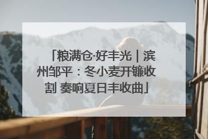 粮满仓·好丰光｜滨州邹平：冬小麦开镰收割 奏响夏日丰收曲