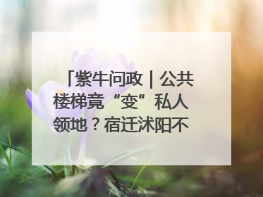 紫牛问政｜公共楼梯竟“变”私人领地？宿迁沭阳不动产登记引质疑