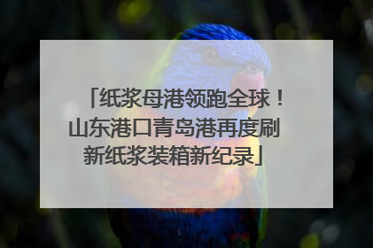 纸浆母港领跑全球！山东港口青岛港再度刷新纸浆装箱新纪录
