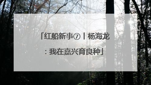 红船新事⑦丨杨海龙：我在嘉兴育良种