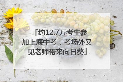 约12.7万考生参加上海中考，考场外又见老师带来向日葵