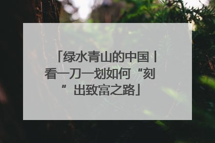 绿水青山的中国丨看一刀一划如何“刻”出致富之路