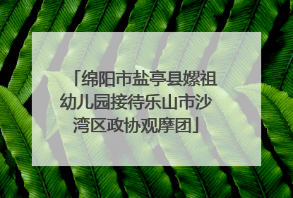 绵阳市盐亭县嫘祖幼儿园接待乐山市沙湾区政协观摩团