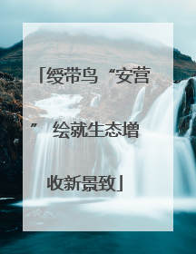 绶带鸟“安营” 绘就生态增收新景致