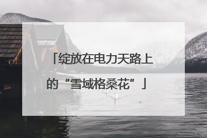 绽放在电力天路上的“雪域格桑花”