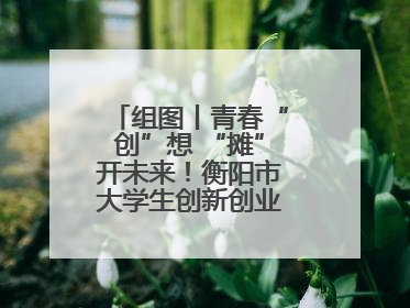 组图丨青春“创”想 “摊”开未来！衡阳市大学生创新创业集市火热开市