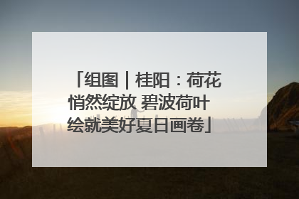 组图｜桂阳：荷花悄然绽放 碧波荷叶绘就美好夏日画卷