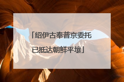 绍伊古奉普京委托已抵达朝鲜平壤