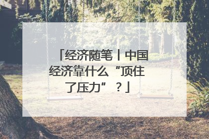 经济随笔丨中国经济靠什么“顶住了压力”？