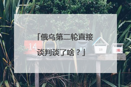俄乌第二轮直接谈判谈了啥？