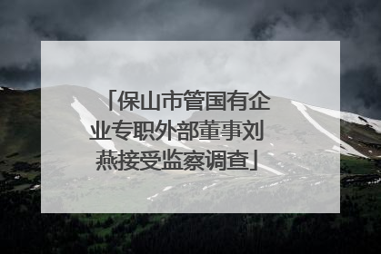 保山市管国有企业专职外部董事刘燕接受监察调查