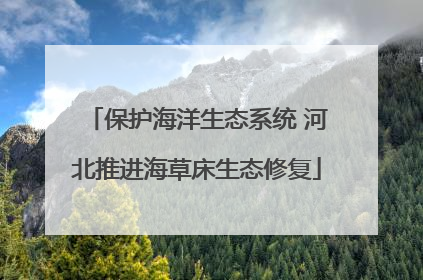 保护海洋生态系统 河北推进海草床生态修复