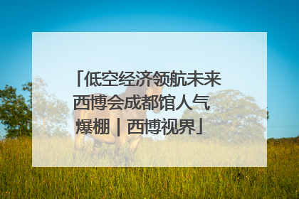 低空经济领航未来 西博会成都馆人气爆棚｜西博视界