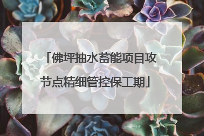 佛坪抽水蓄能项目攻节点精细管控保工期