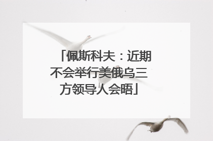 佩斯科夫：近期不会举行美俄乌三方领导人会晤
