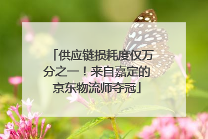 供应链损耗度仅万分之一！来自嘉定的京东物流师夺冠