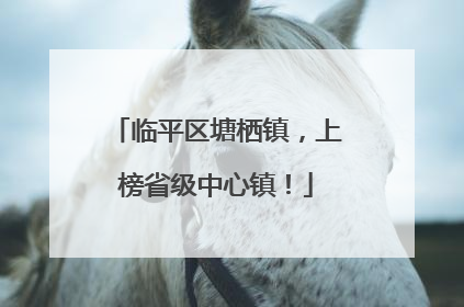 临平区塘栖镇，上榜省级中心镇！