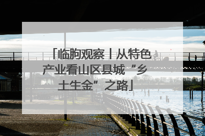 临朐观察丨从特色产业看山区县城“乡土生金”之路