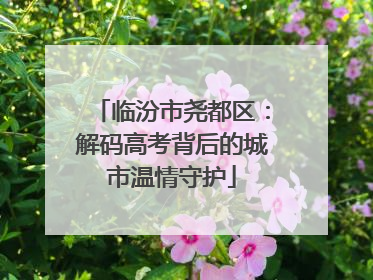临汾市尧都区：解码高考背后的城市温情守护