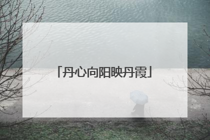 丹心向阳映丹霞