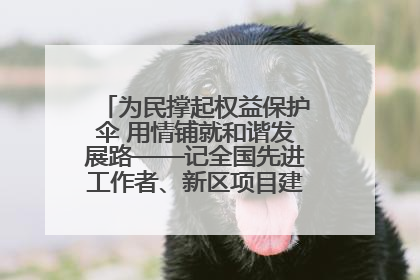 为民撑起权益保护伞 用情铺就和谐发展路——记全国先进工作者、新区项目建设中心干部卢小勇