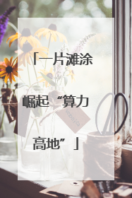 一片滩涂崛起“算力高地”