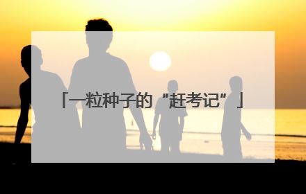 一粒种子的“赶考记”