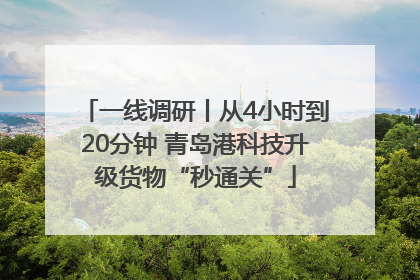 一线调研丨从4小时到20分钟 青岛港科技升级货物“秒通关”
