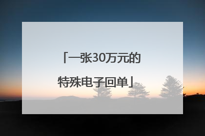 一张30万元的特殊电子回单