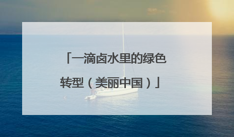 一滴卤水里的绿色转型（美丽中国）