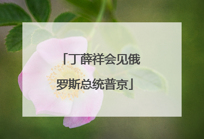 丁薛祥会见俄罗斯总统普京