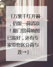 万紫千红开遍，仍留一荷清凉！厦门赏荷地图已备好，还有专家带您区分荷与莲→