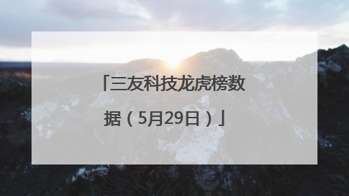 三友科技龙虎榜数据（5月29日）