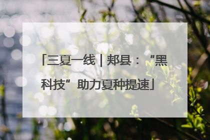 三夏一线｜郏县：“黑科技”助力夏种提速