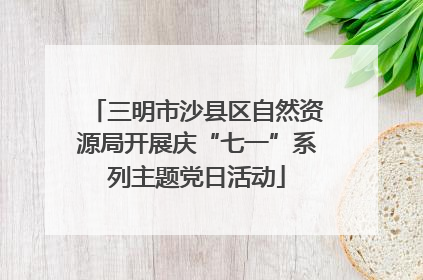 三明市沙县区自然资源局开展庆“七一”系列主题党日活动