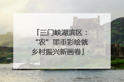 三门峡湖滨区：“农”墨重彩绘就乡村振兴新画卷