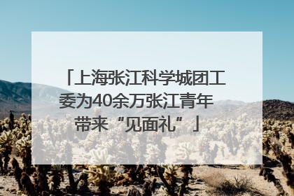 上海张江科学城团工委为40余万张江青年带来“见面礼”